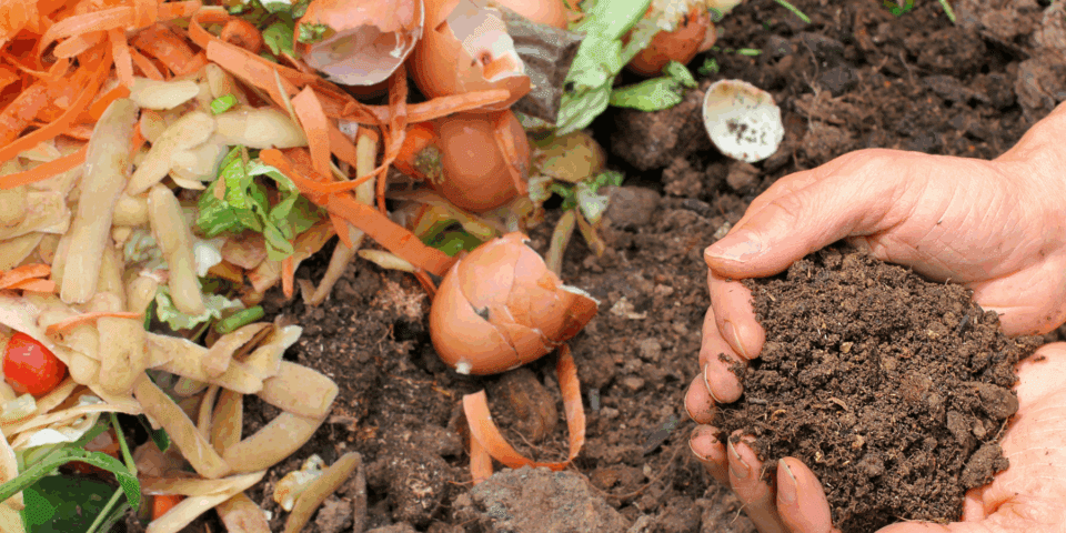 Hands holding rich compost soil beside a pile of food scraps like vegetable peels and eggshells.