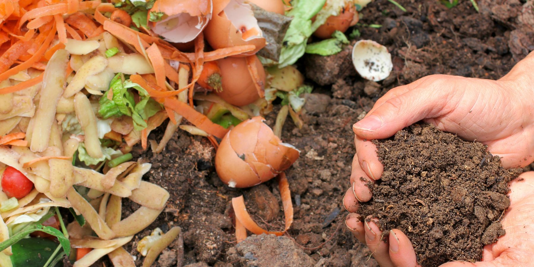 Blog Headers Hands holding rich compost soil beside a pile of food scraps like vegetable peels and eggshells.