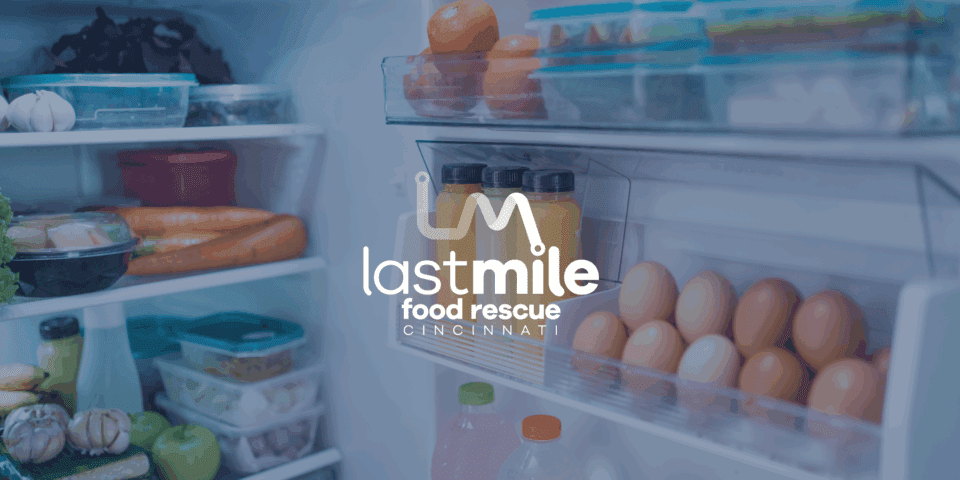 Inside view of a neatly organized fridge with fresh produce, eggs, and drinks, symbolizing fridge restock trends and food waste awareness.