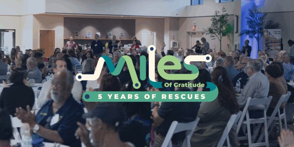 “Volunteers and supporters celebrating five years of Last Mile Food Rescue in Cincinnati.